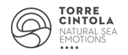 logo-torrecintola